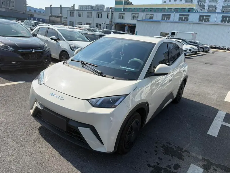 BYD Seagull, 2023