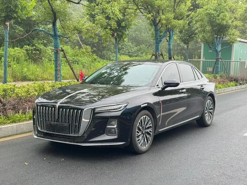 Hongqi H5, 2024