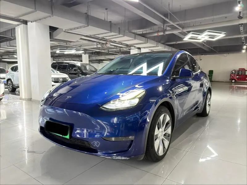 Tesla Model Y Long Range AWD Edition, 2021 — фото 1