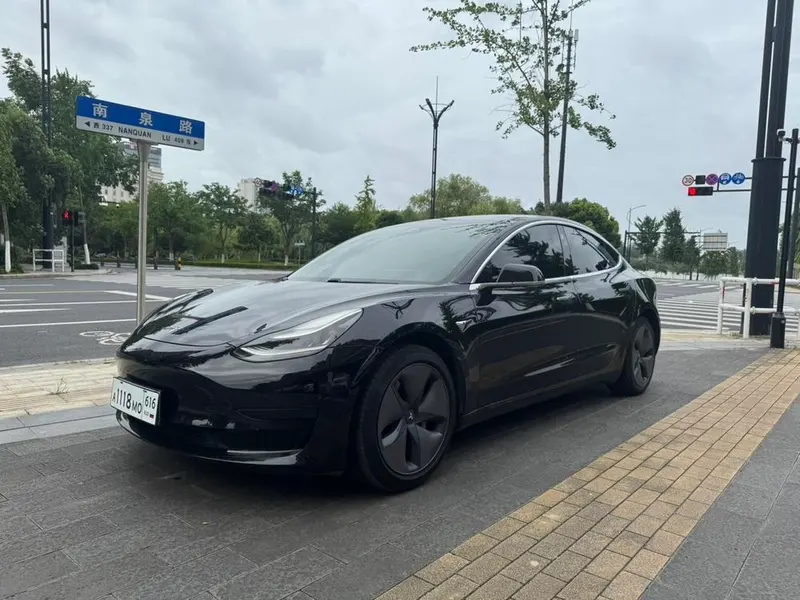 Tesla Model 3 Standard Range RWD Upgraded Edition, 2019 — фото 1