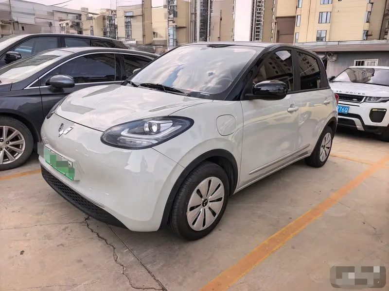 Wuling Bingo, 2024