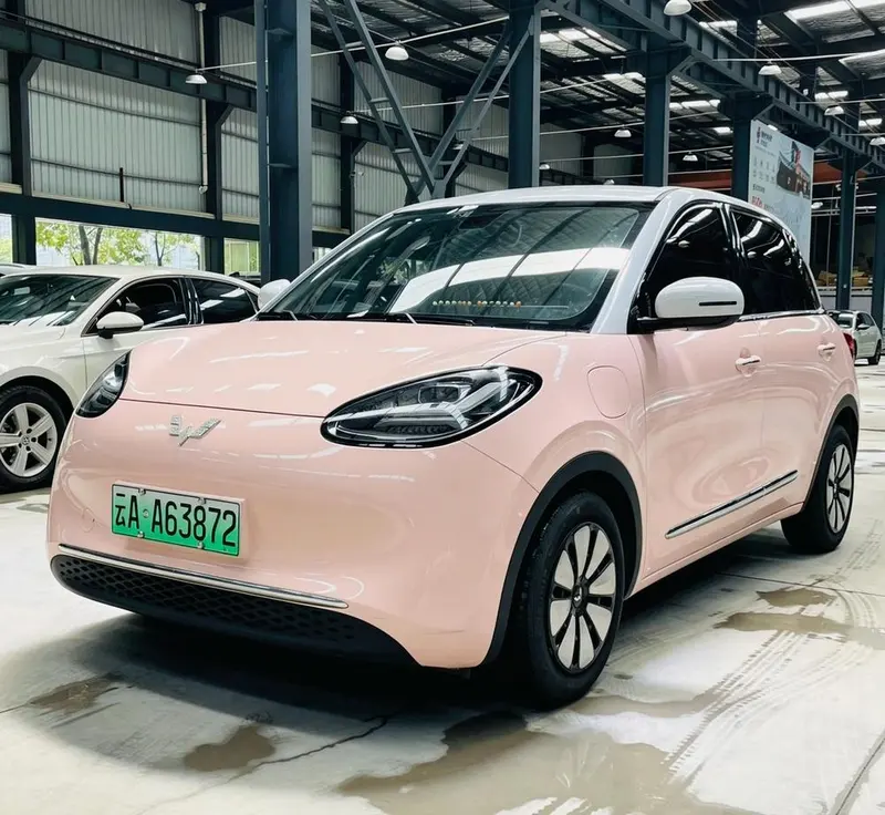 Wuling Bingo, 2023