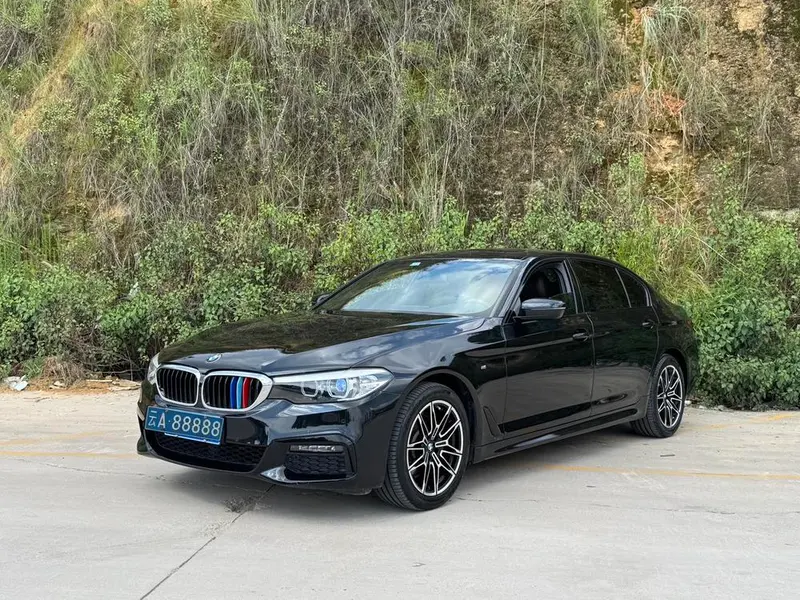 BMW 5-Series, 2019