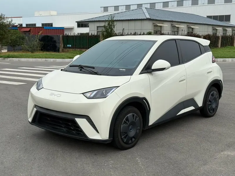 BYD Seagull, 2024