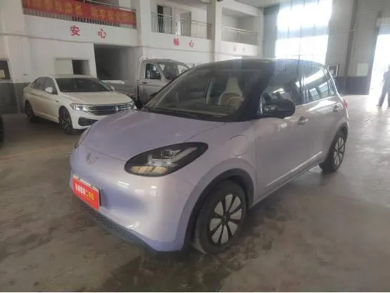 Wuling Bingo, 2024