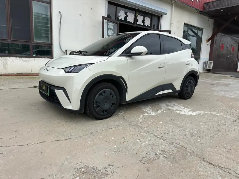 BYD Seagull, 2024