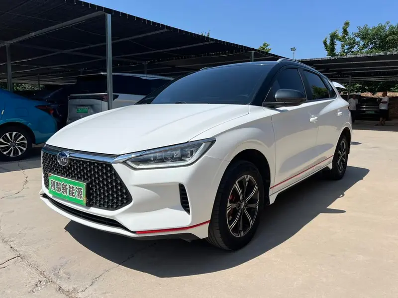BYD e2, 2019