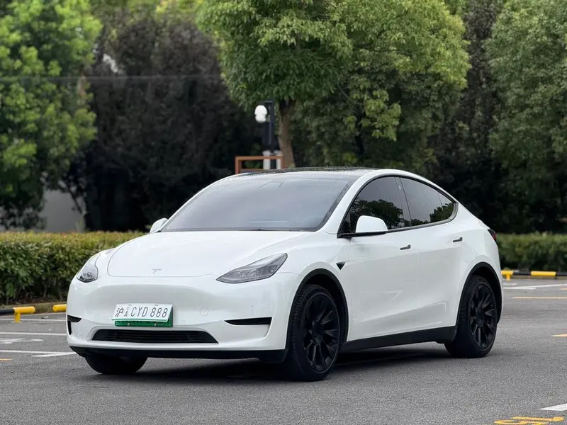 Tesla Model Y Edition, 2023 — фото 1
