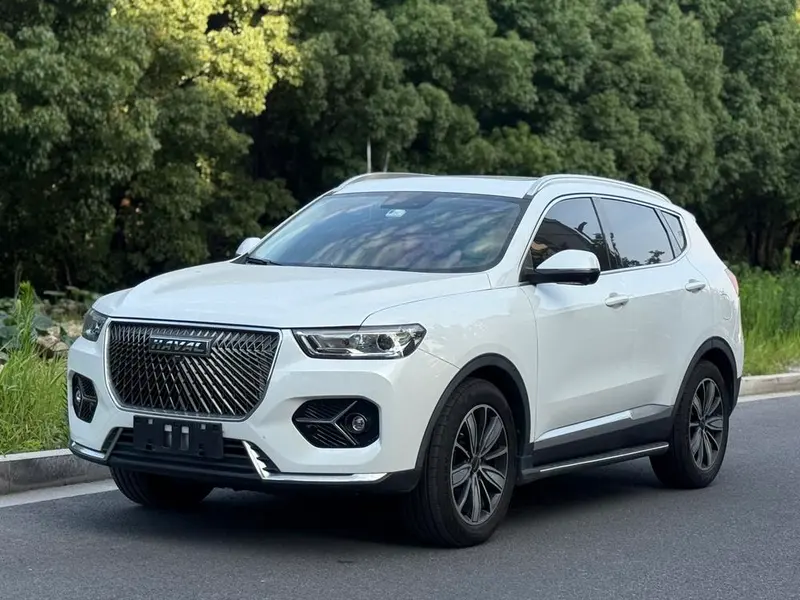Haval H6, 2021