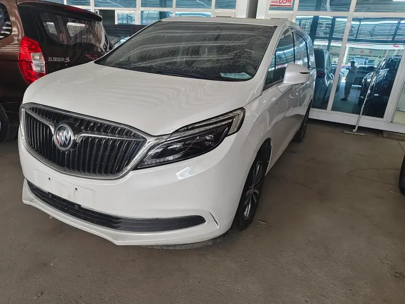 Buick GL8 ES 28T Luxury Version CN6, 2018 — фото 1