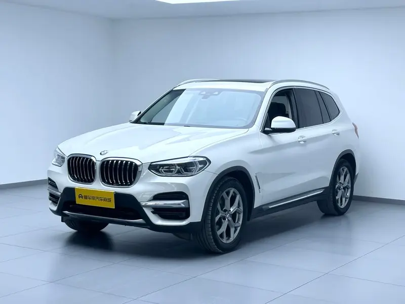 BMW X3 xDrive28i Luxury, 2019 — фото 1