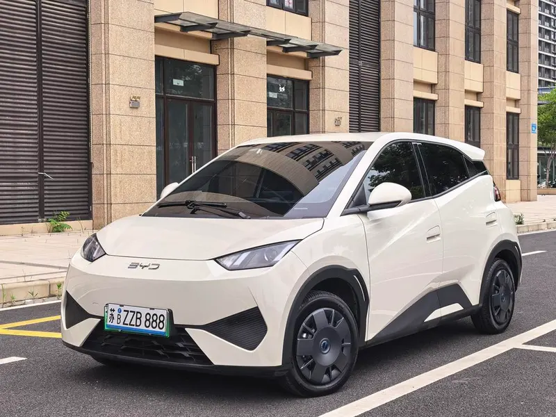 BYD Seagull Smart Drive Edition 305KM Edition, 2025 — фото 1