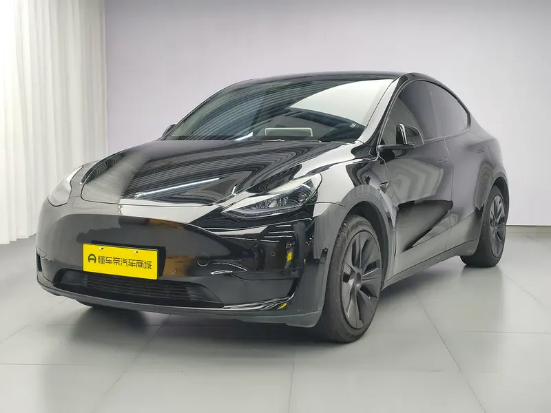 Tesla Model Y Edition, 2023 — фото 1