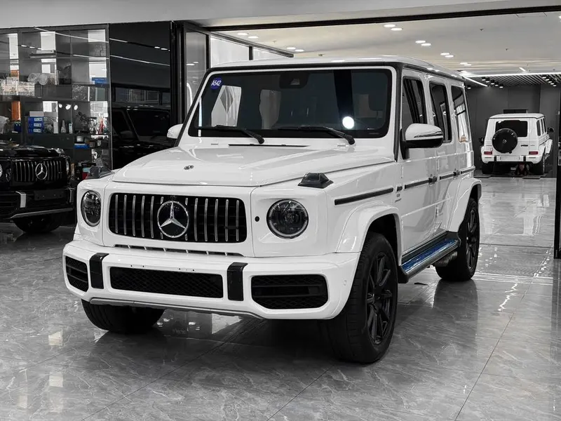 Mercedes-Benz G-Class G 500, 2020 — фото 1