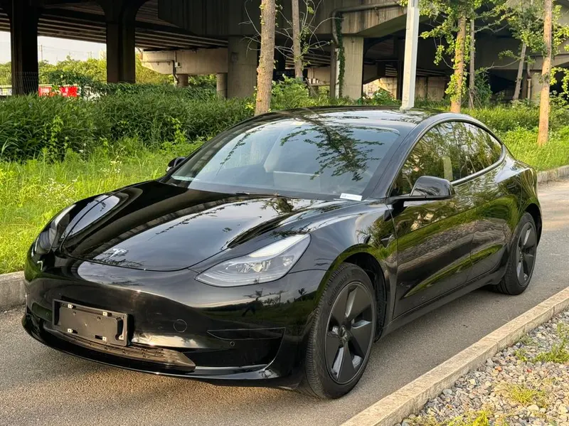Tesla Model 3 Standard Range RWD Upgraded Edition 3D6, 2021 — фото 1