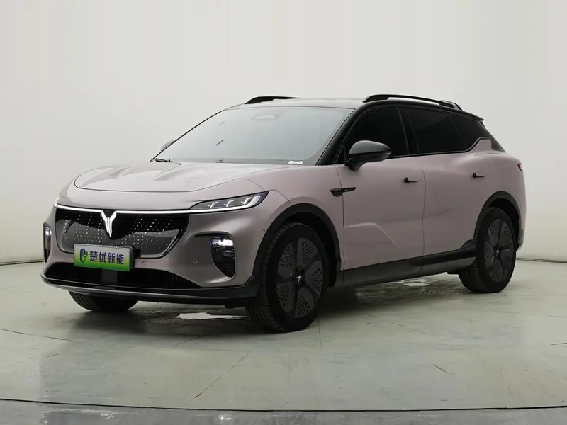 Voyah Zhiyin, 2024
