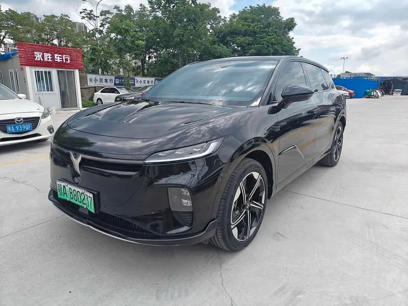 Voyah Zhiyin, 2024
