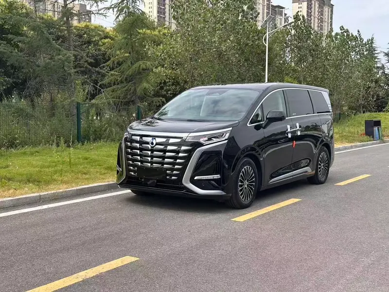 Denza D9 DM, 2024