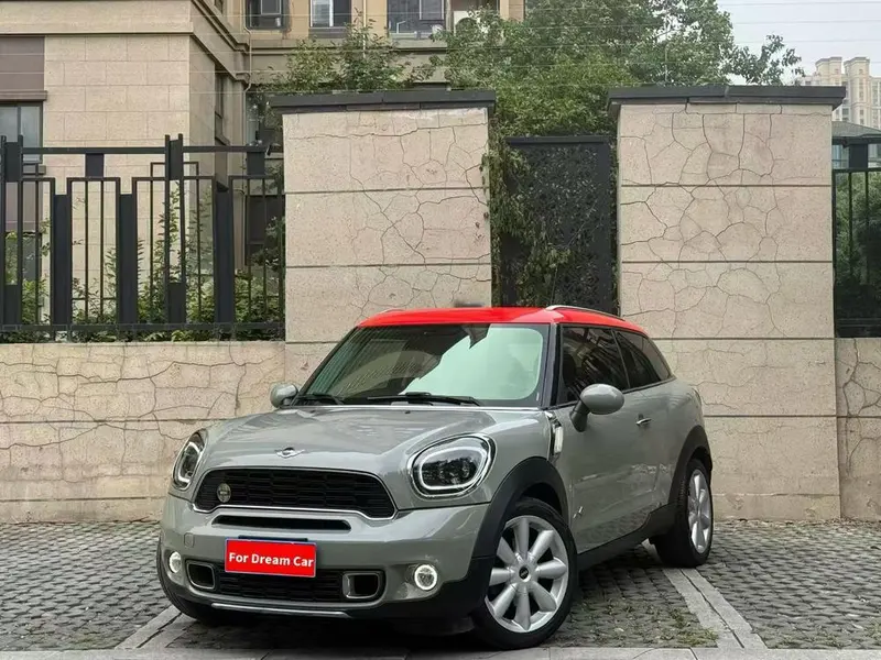 MINI PACEMAN, 2013