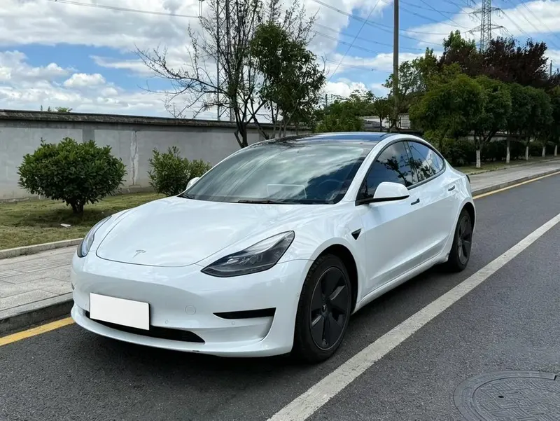 Tesla Model 3 Standard Range RWD Upgraded Edition, 2021 — фото 1