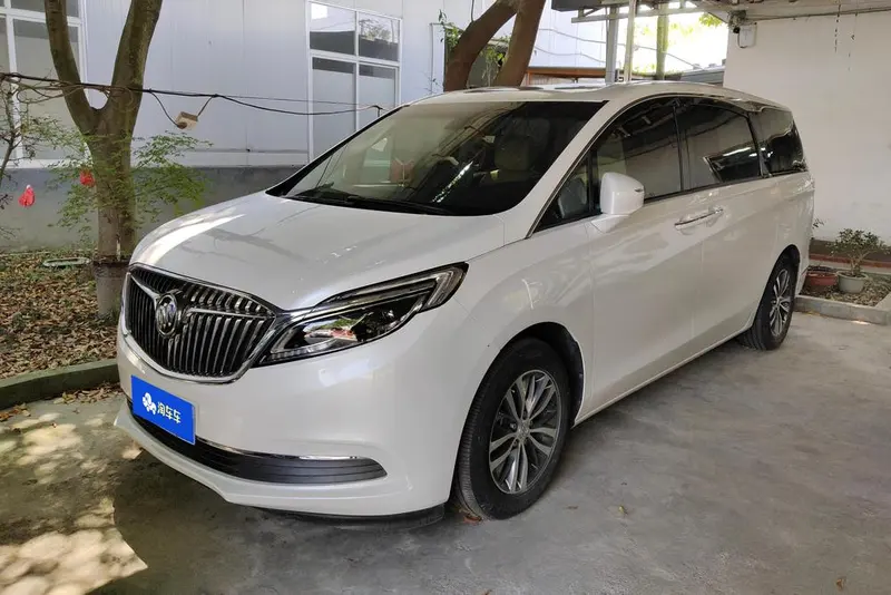 Buick GL8 ES 28T Luxury Version CN6, 2018 — фото 1