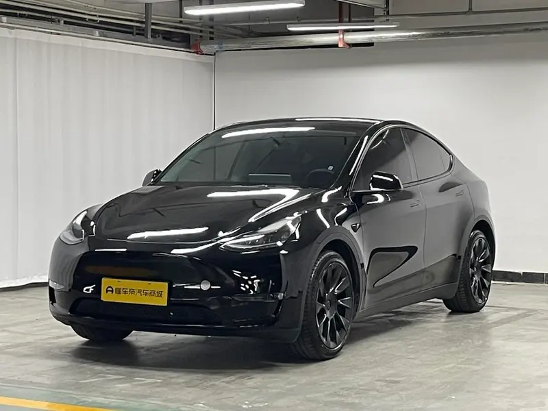 Tesla Model Y Standard Range Edition, 2021 — фото 1