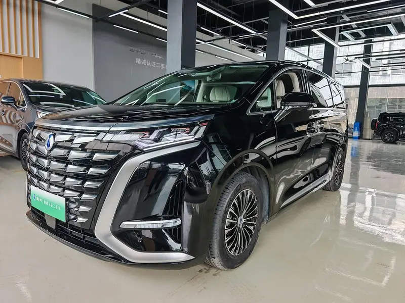 Denza D9 DM, 2022