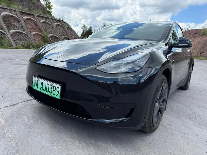 Tesla Model Y Edition, 2023 — фото 1