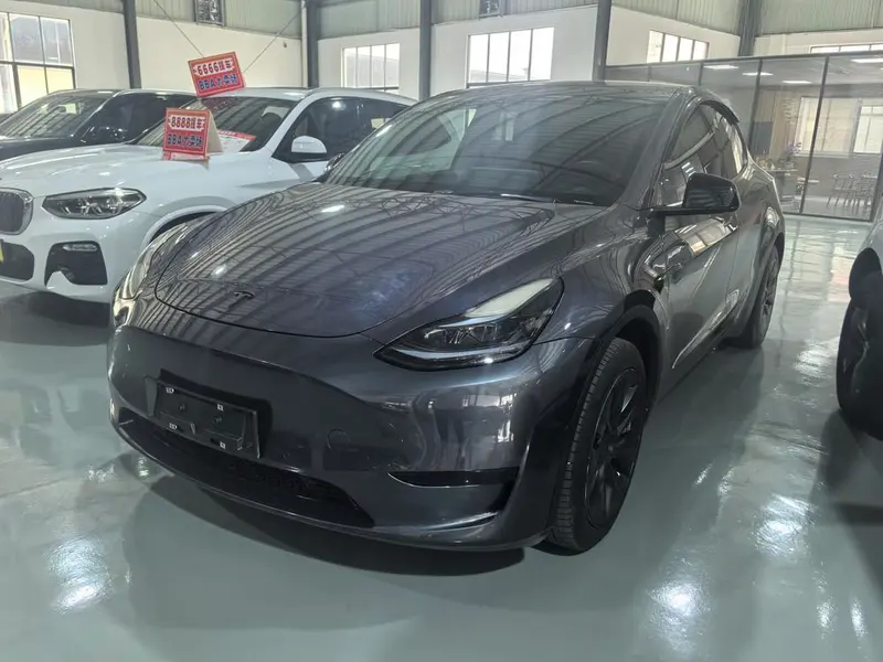 Tesla Model Y Edition, 2022 — фото 1