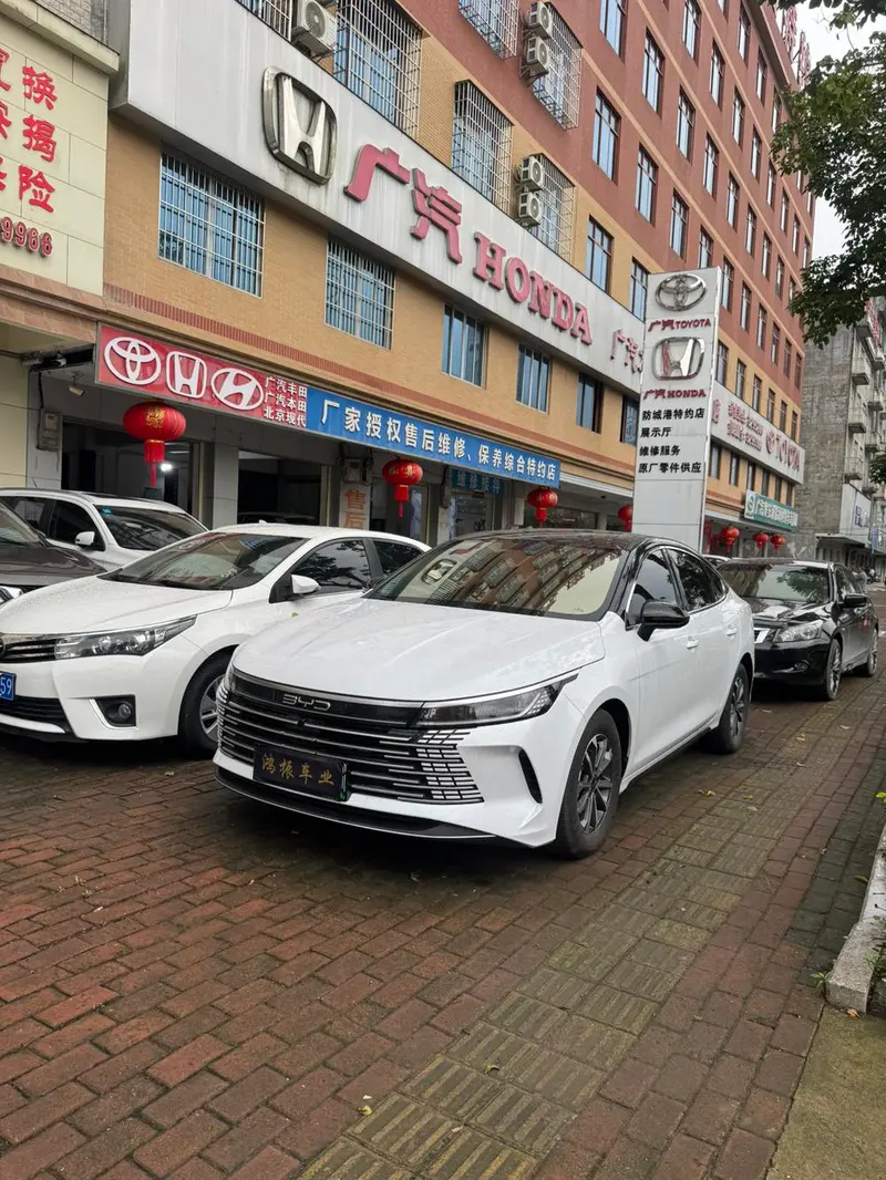BYD Destroyer 05 Glory Edition DM-i 55KM Luxury Version, 2024 — фото 1