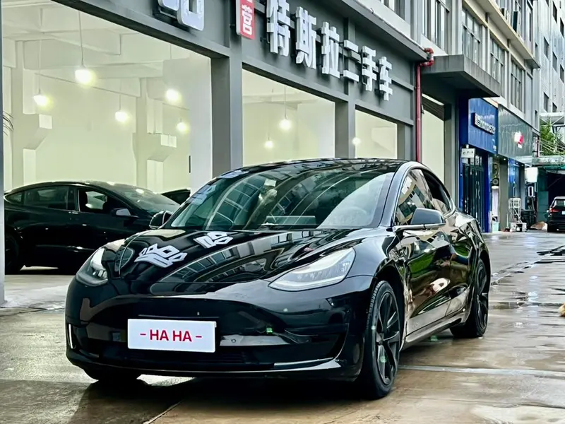 Tesla Model 3 Standard Range RWD Upgraded Edition, 2020 — фото 1