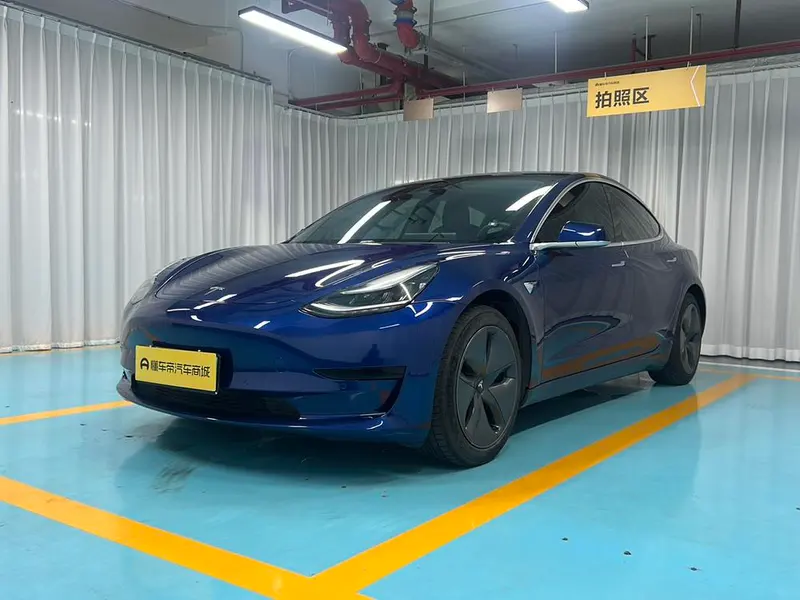 Tesla Model 3 Standard Range RWD Upgraded Edition, 2020 — фото 1