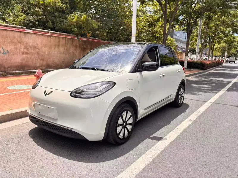 Wuling Bingo, 2023
