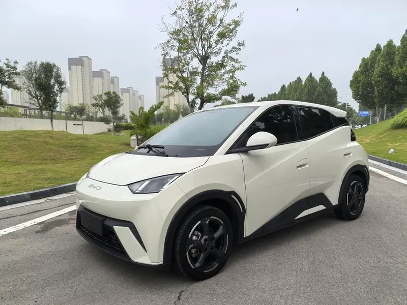 BYD Seagull, 2023