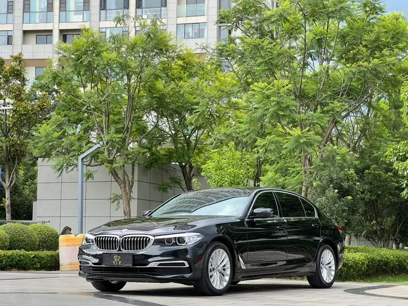 BMW 5-Series, 2019