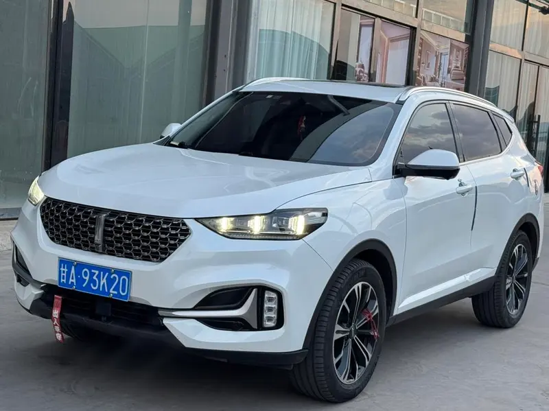 Wey VV6, 2020