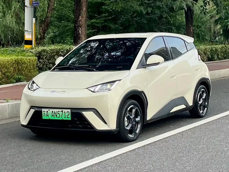 BYD Seagull, 2024