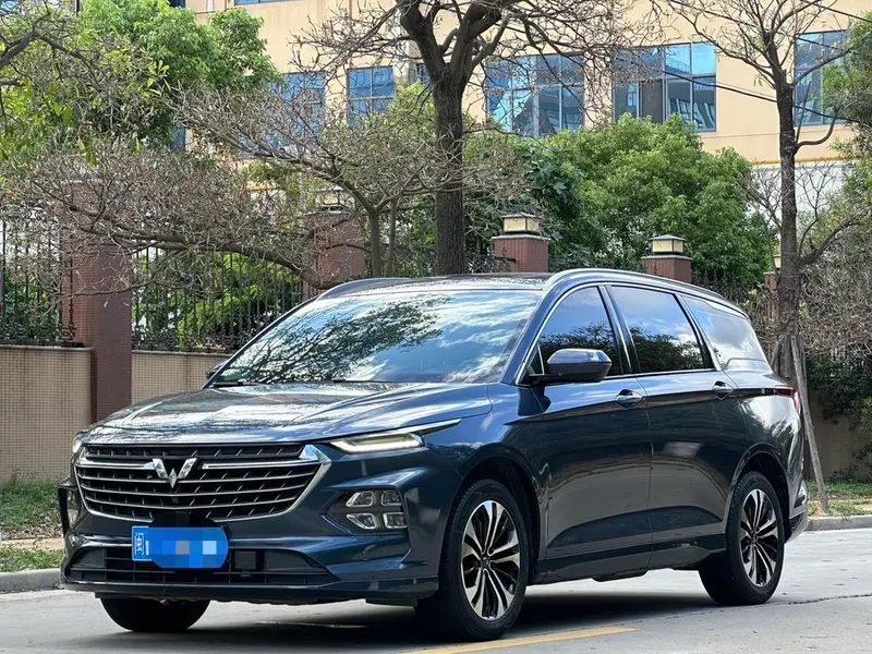Wuling Capgemini Victory, 2020