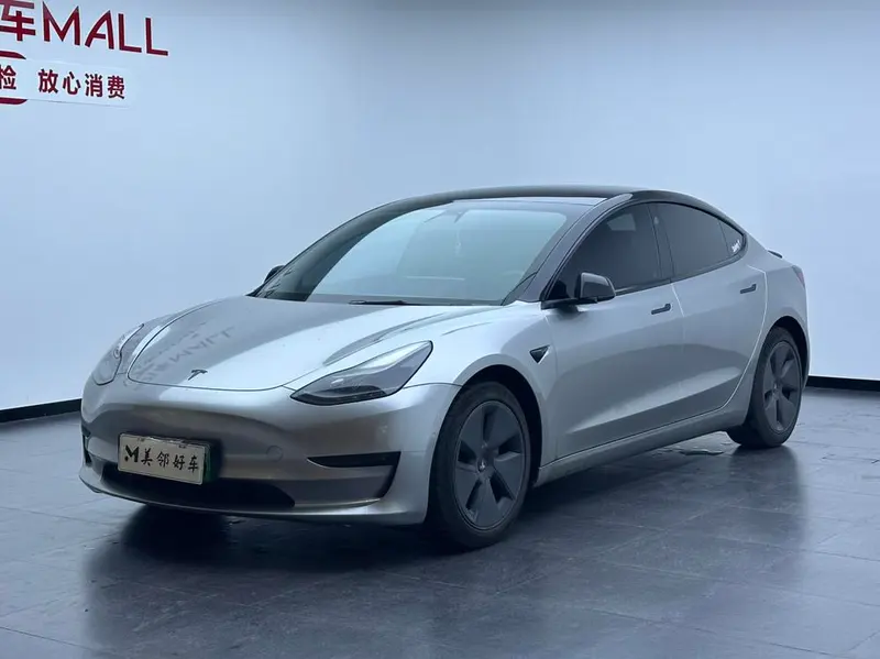 Tesla Model 3 Standard Range RWD Upgraded Edition 3D1, 2021 — фото 1