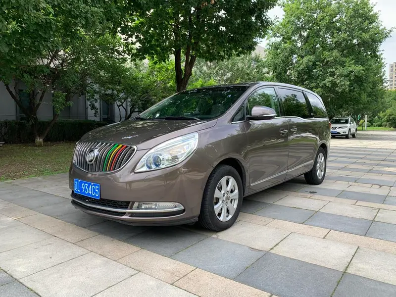 Buick GL8 3.0L GT Luxury Business Elegant Edition, 2014 — фото 1