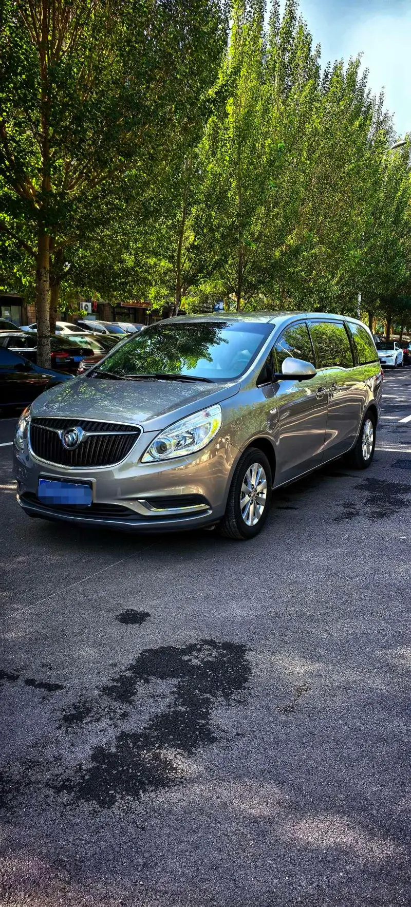 Buick GL8 28T Comfort Version CN6, 2018 — фото 1