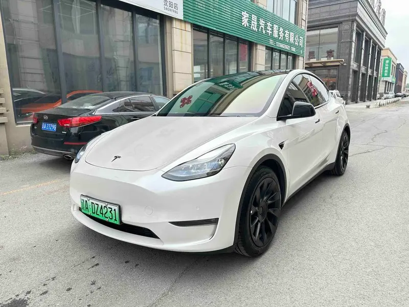 Tesla Model Y Facelift Long Range AWD Edition, 2021 — фото 1