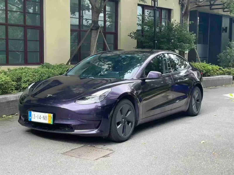 Tesla Model 3 Standard Range RWD Upgraded Edition, 2021 — фото 1