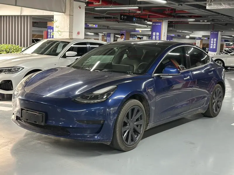 Tesla Model 3 Standard Range RWD Upgraded Edition, 2019 — фото 1