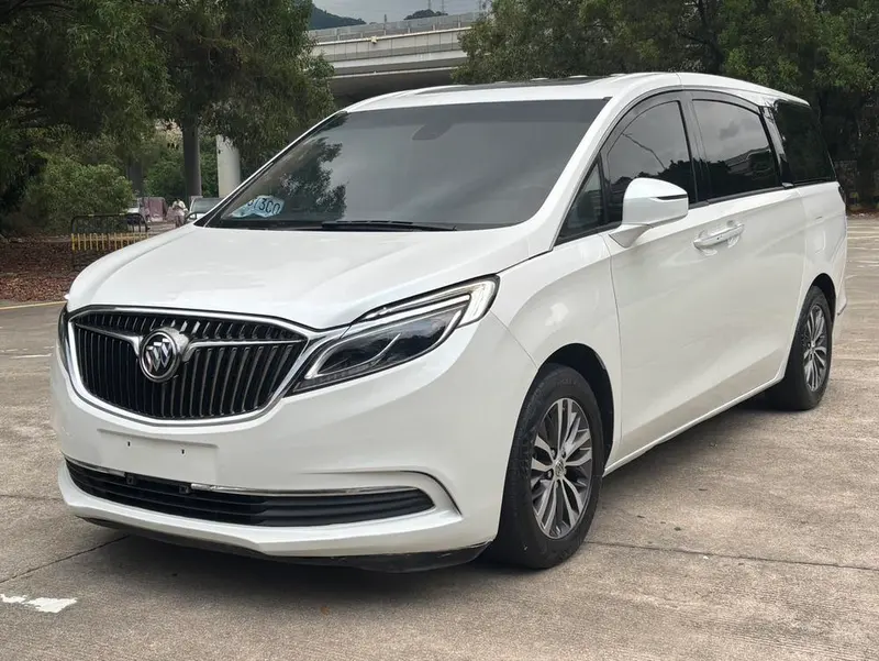 Buick GL8 ES 28T Luxury Version CN6, 2018 — фото 1