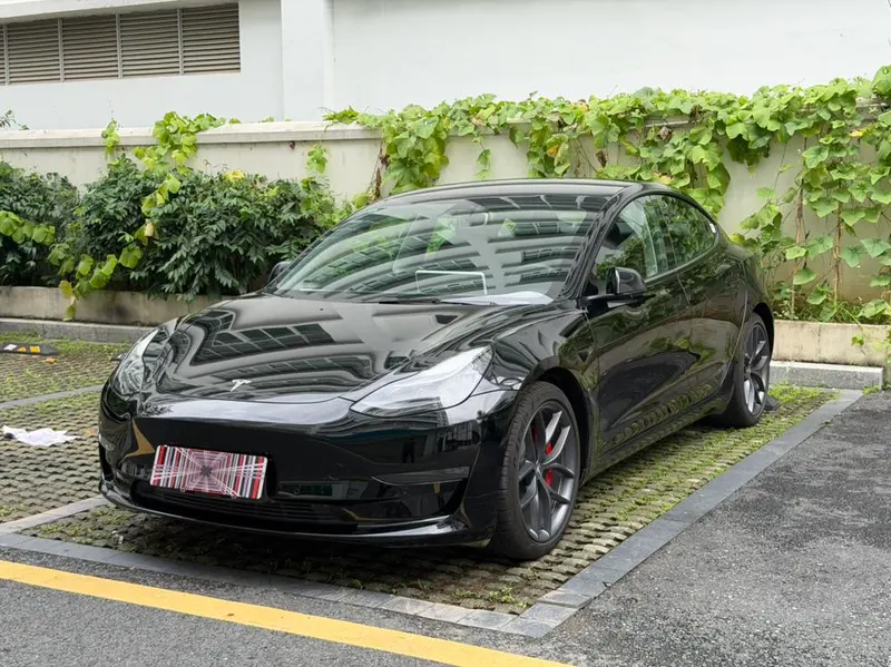 Tesla Model 3 Performance High Performance AWD Edition, 2022 — фото 1