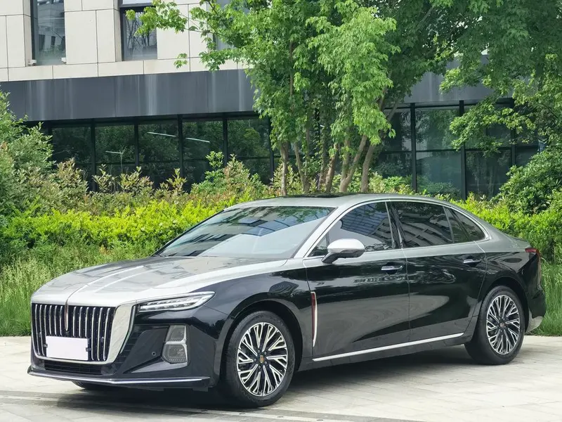 Hongqi H5, 2024