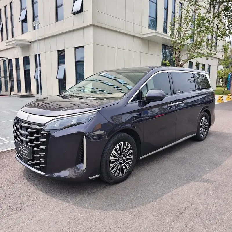 BYD Xia DM-i 180KM Version, 2025 — фото 1