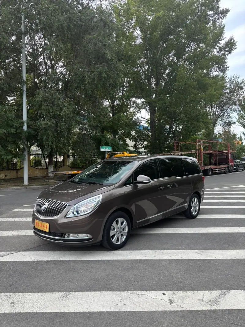 Buick GL8 3.0L XT Luxury Business Flagship Edition, 2014 — фото 1
