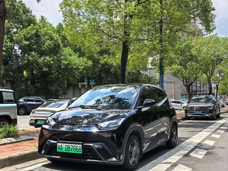 BYD Seagull Glory Edition 305KM Edition, 2024 — фото 1